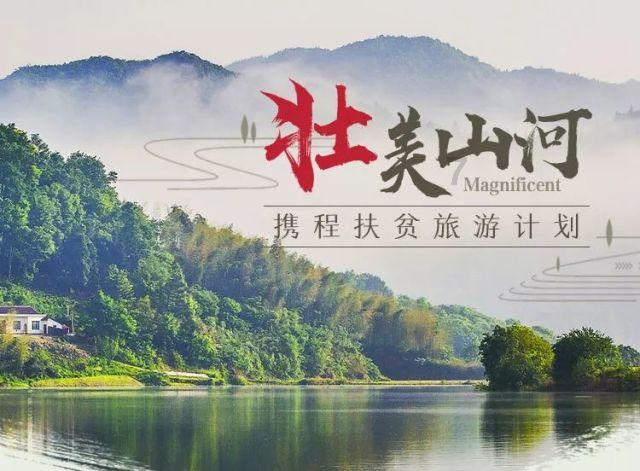 春雨直播app